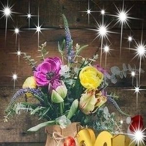 Meet your Posher, Hala